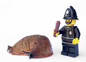 slug, lego policeman, credit andrew martin